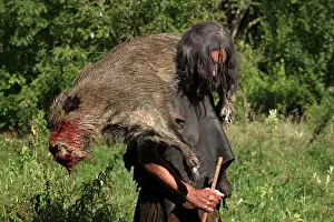 Temps: Prehistoric hunting scene