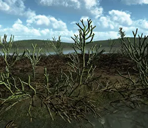 Silurian: Prehistoric landscape of Silu-Devonian land plants with ?