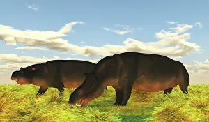 Eocene: Prehistoric Moeritherium mammals eating grass