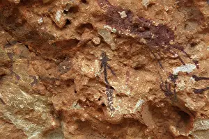 Speleological: Prehistoric paintings