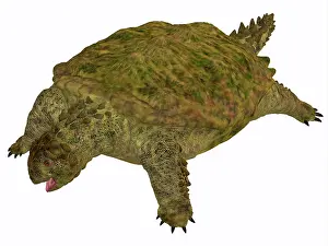 Rhaetian: A prehistoric Proganochelys turtle species from the ?