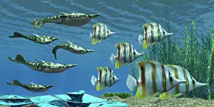 Butterflyfish: Prehistoric Pteraspis jawless fish swimming with a group of