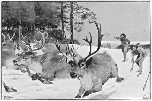 10000: Prehistoric reindeer hunt