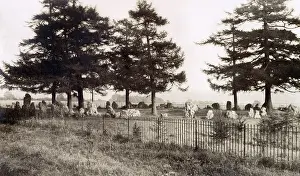 Rollright: Prehistoric stone circle, Great Rollright, Oxfordshire