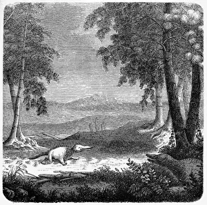 Labyrinthodont: prehistory, animals, Labyrinthodontia in a Mesozoic