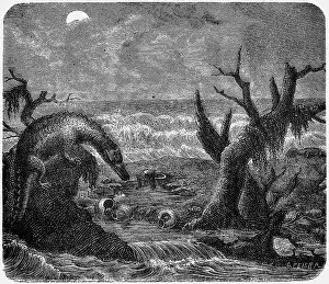 Sauropterygian: prehistory, animals, Nothosaur in a Triassic