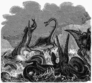 Ichthyosaurus: prehistory, animals, saurians of the Jurassic