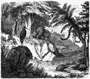 Paleogene: prehistory, prehistoric landscape, Eocene epoch