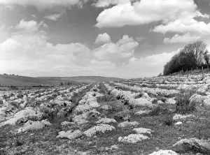 PRELIMINARY PLOUGHING