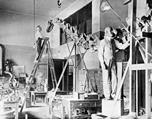 Fully: Preparation of the first found dinosaur, 1858