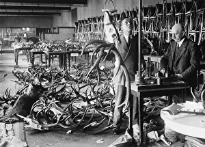 Antlers: Preparations for the Hunting Exhibition of the Green Week