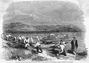 Sardinian: PREPARING FOR BATTLE