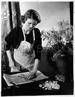 Crushes: PREPARING FLOWER STEMS