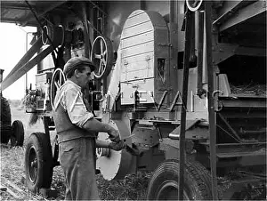 Accurately: PREPARING FOR THRESHING