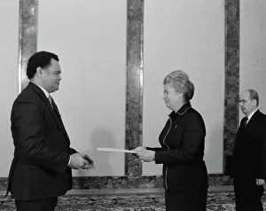 Plenipotentiary: Presentation of credentials to V. Shevchenko