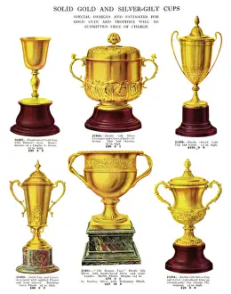 Prowess: PRESENTATION CUPS