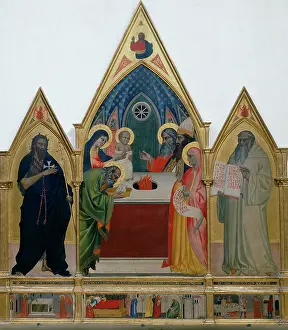 Biondo: Presentation in the Temple and