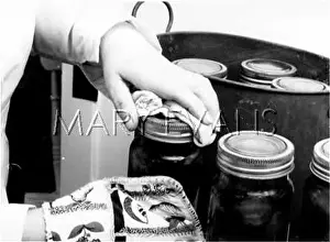 Conserves: PRESERVING FRUIT