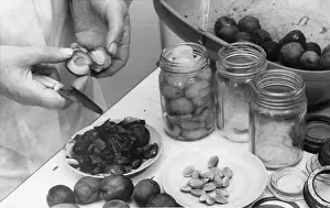 Conserves: PRESERVING PLUMS