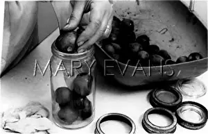 Conserves: PRESERVING PLUMS