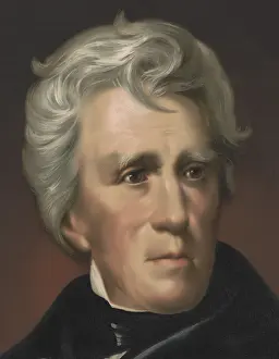 Lcgr1704: President Andrew Jackson, detail from chromolithograph