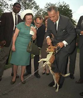 President Lyndon Johnson holds his beagle ?