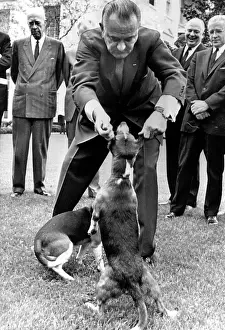 Beagles: President Lyndon Johnson pulling the ears ?