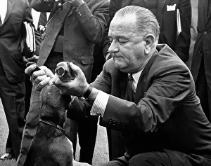 Beagles: President Lyndon Johnson pulls the ears ?