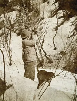 C1905: The President shooting one of the big bears out of the tree