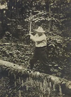 Knickerbockers: President Theodore Roosevelt chopping, a fallen