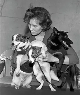 Vasily: Press conference devoted to recent results of space research