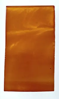 Resin: Pressed amber