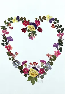 Pansy: Pressed Flower Heart