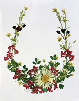 Wort: Pressed Flower Horseshoe