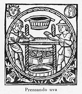 1511: Pressing Grapes 1511