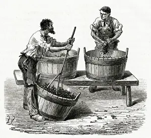 Crushed: PRESSING GRAPES BY HAND