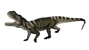 Archosauria: Prestosuchus dinosaur roaring