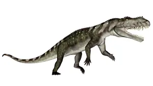 Archosauria: Prestosuchus dinosaur roaring