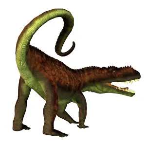 Crocodile: Prestosuchus dinosaur, white background