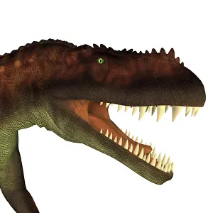 Archosauria: Prestosuchus portrait on white background
