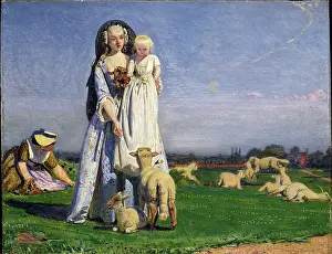 Madox: The pretty Baa-Lambs