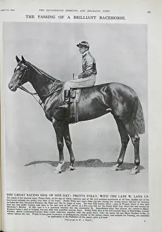 Glossy: Pretty Polly, Racehorse