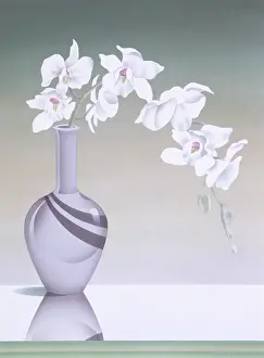 Fronds: Pretty white orchid