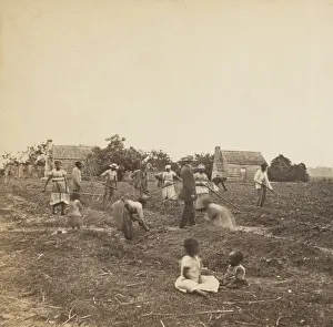 Freedmen: Previously enslaved African Americans in a
