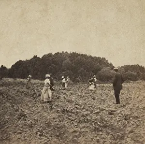Freedmen: Previously enslaved African Americans in a