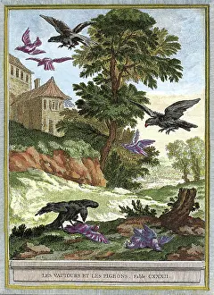 Seek: Preying Vultures