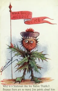 Stereotypical: A prickly Scotsman as a Native (Scottish) Thistle