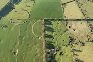 Henge: Three of the Priddy Circles, Somerset
