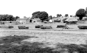 Priddy: Priddy, the Green c1960