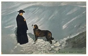 Bernards: Priest and St Bernard Dog